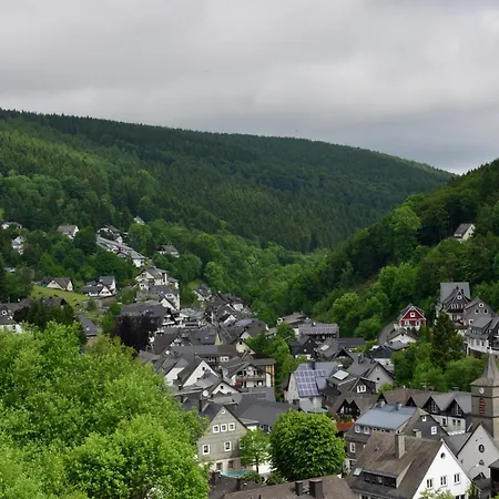 Apartment Geraeumige Mit Skilift In Der Naehe, Cleaning Included Willingen (Upland)