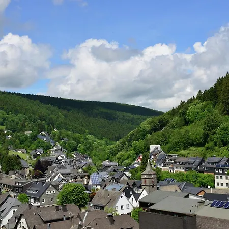 Geraeumige Mit Skilift In Der Naehe, Cleaning Included Willingen